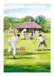 Birthday Card - The Cricket Match - Country Cards