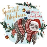 Christmas Card - Nephew - Sloth - Talking Pictures
