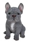 French Blue Bulldog Puppy Dog - Lifelike Ornament Gift - Indoor or Outdoor - Pet Pals Vivid Arts