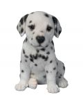 Dalmatian Puppy Dog - Lifelike Ornament Gift - Indoor or Outdoor - Pet Pals Vivid Arts