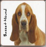 Basset Hound Dog Coaster - Dog Lovers