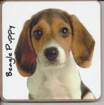 Beagle Dog or Puppy Coaster - Dog Lovers - 2 Designs 