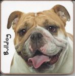 Bulldog Dog Coaster - Dog Lovers