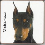 Doberman Dog Coaster - Dog Lovers