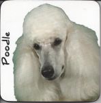 Poodle Dog Coaster - Dog Lovers