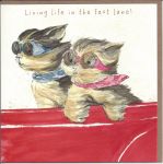 Birthday Card - Life in The Fast Lane - Dog - Angie Thomas