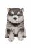 Malamute Puppy Dog - Lifelike Ornament Gift - Indoor or Outdoor - Pet Pals Vivid Arts