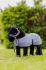 Lemieux Mini Toy Pony Accessories - Jay Fleece Show Rug SS24