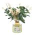 Eucalyptus & Pomegranate Desire Home Reed Diffuser 100ml - Boxed - Lesser & Pavey