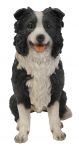 Sheepdog Collie Dog - Sitting Lifelike Garden Ornament - Indoor or Outdoor - Real Life Vivid Arts