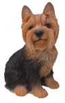 Yorkshire Terrier Dog - Lifelike Garden Ornament - Indoor or Outdoor - Real Life Vivid Arts